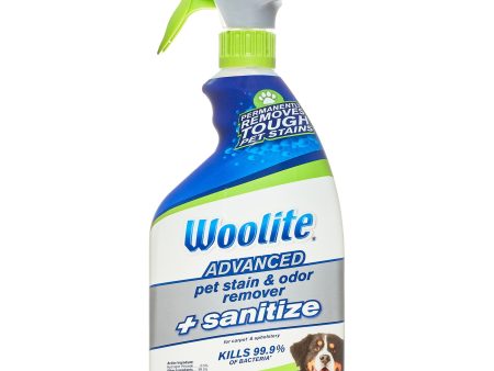 Woolite Advanced Pet Stain & Odor Remover + Sanitize, 22 oz., 11521 For Discount