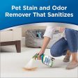 Woolite Advanced Pet Stain & Odor Remover + Sanitize, 22 oz., 11521 For Discount