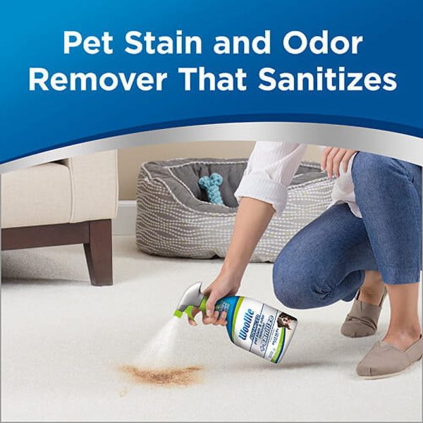 Woolite Advanced Pet Stain & Odor Remover + Sanitize, 22 oz., 11521 For Discount