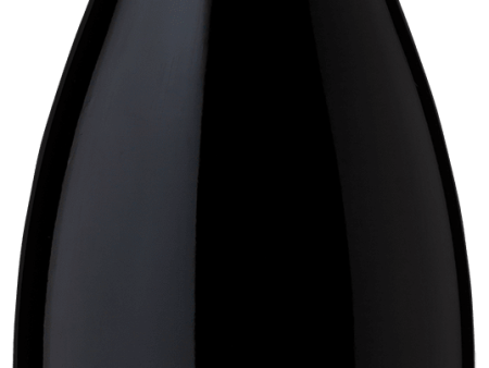 Winemakers Selection Cellar Reserve Pinot Noir Oregon Red Wine, 750 ml Glass, ABV 13.60% Online Hot Sale