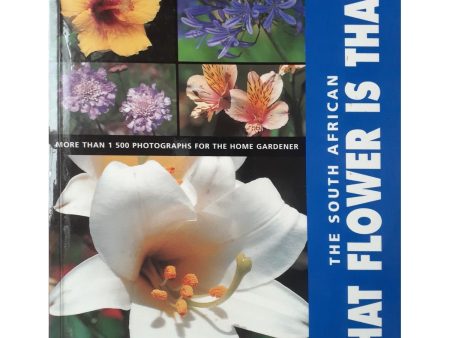 The South African: What Flower is That? by Kristo Pienaar For Sale