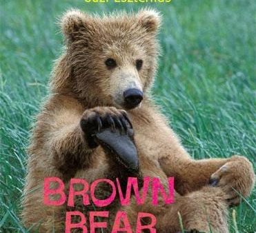 Lincoln Frances: Brown Bear [2012] hardback Online Sale