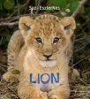 Lincoln Frances: Lion: Volume 3 [2012] hardback Supply