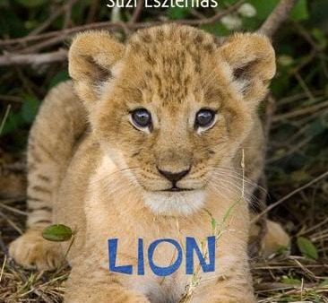 Lincoln Frances: Lion: Volume 3 [2012] hardback Supply