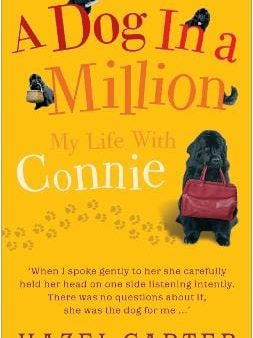 Hazel Carter: A Dog in a Million [2009] paperback Online